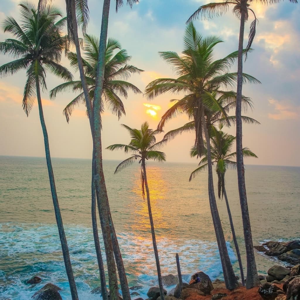 mirissa-beach Gallery Image 2