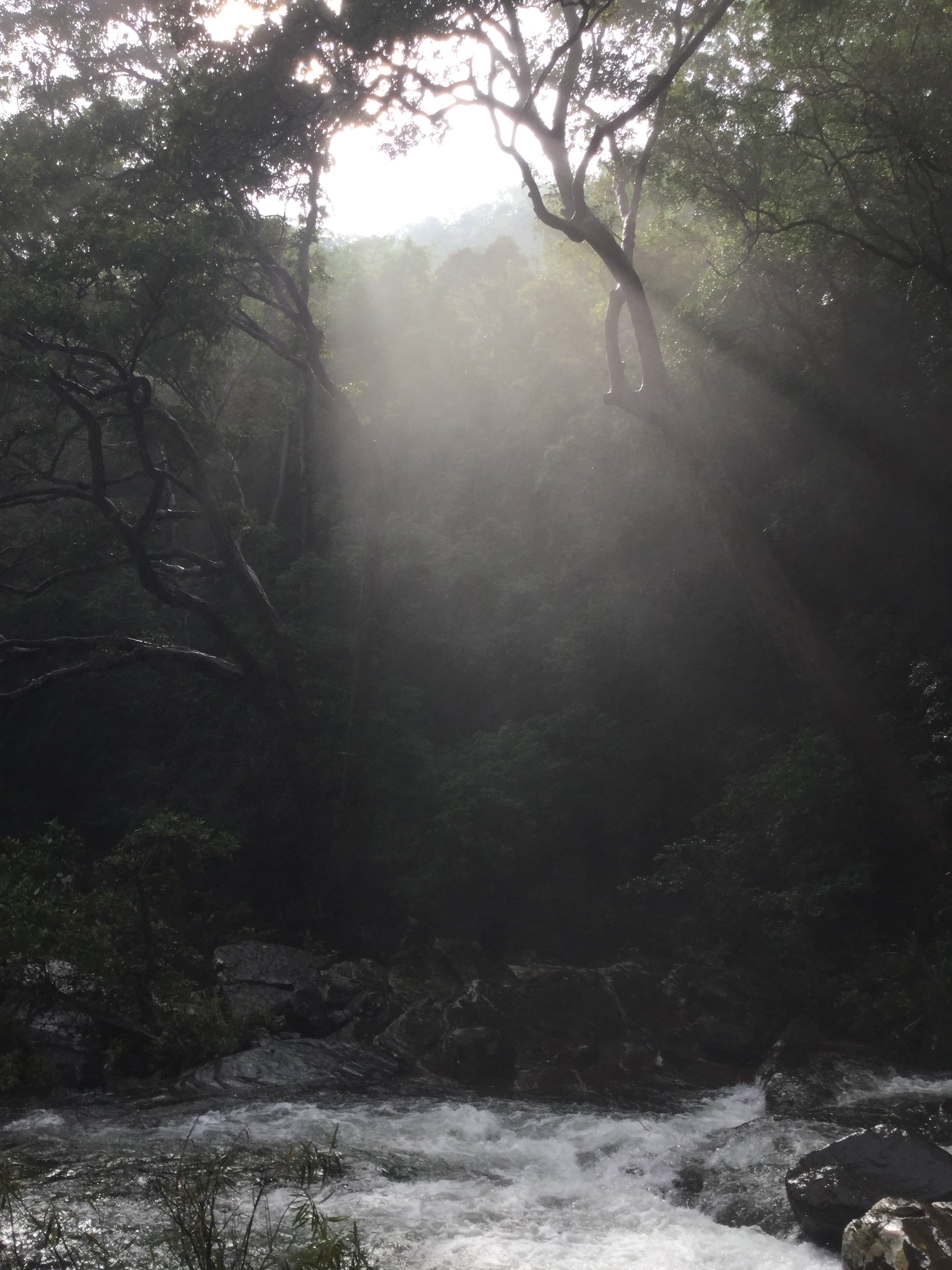 sera-ella-falls Gallery Image 12