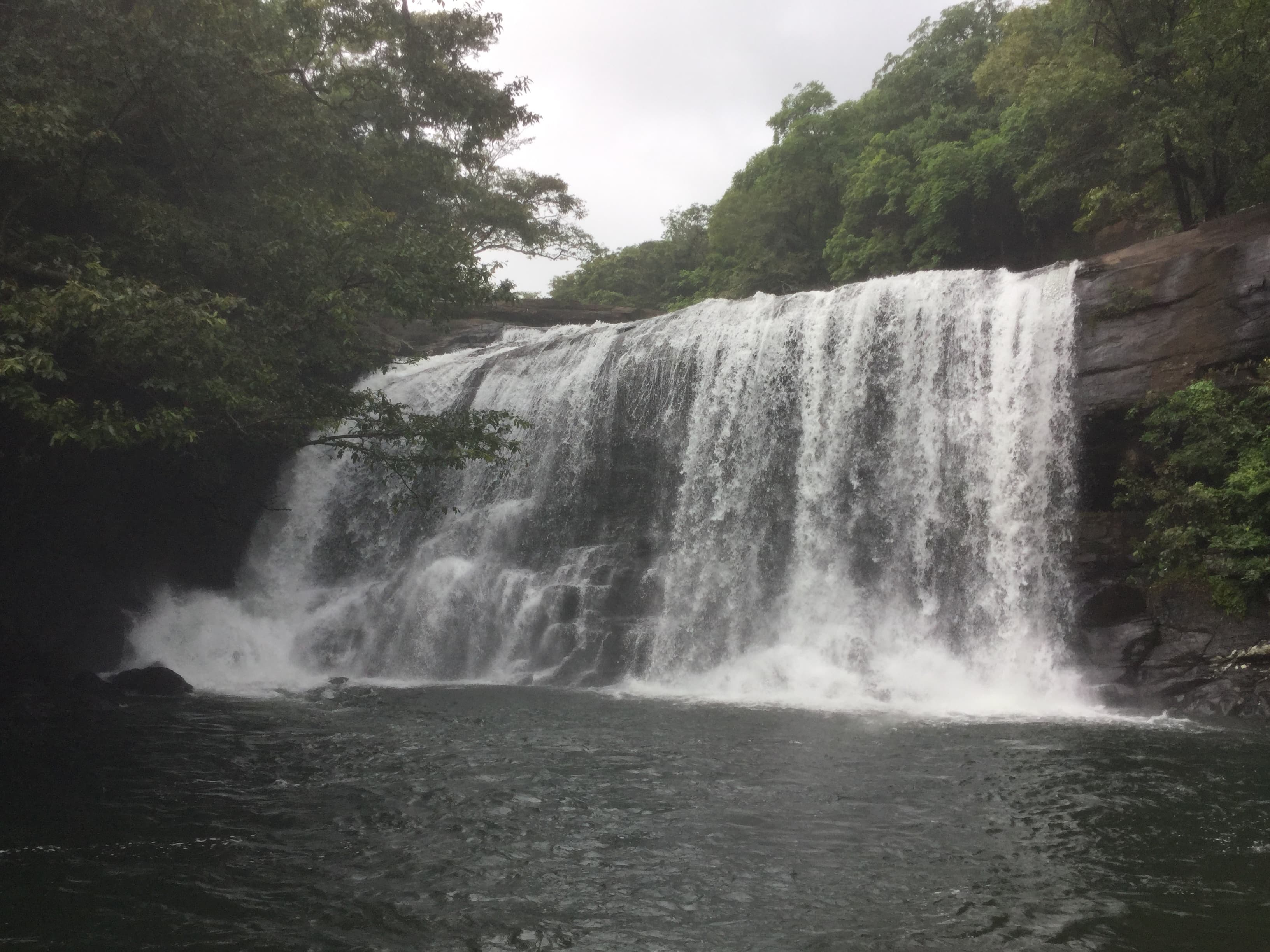 sera-ella-falls Gallery Image 5