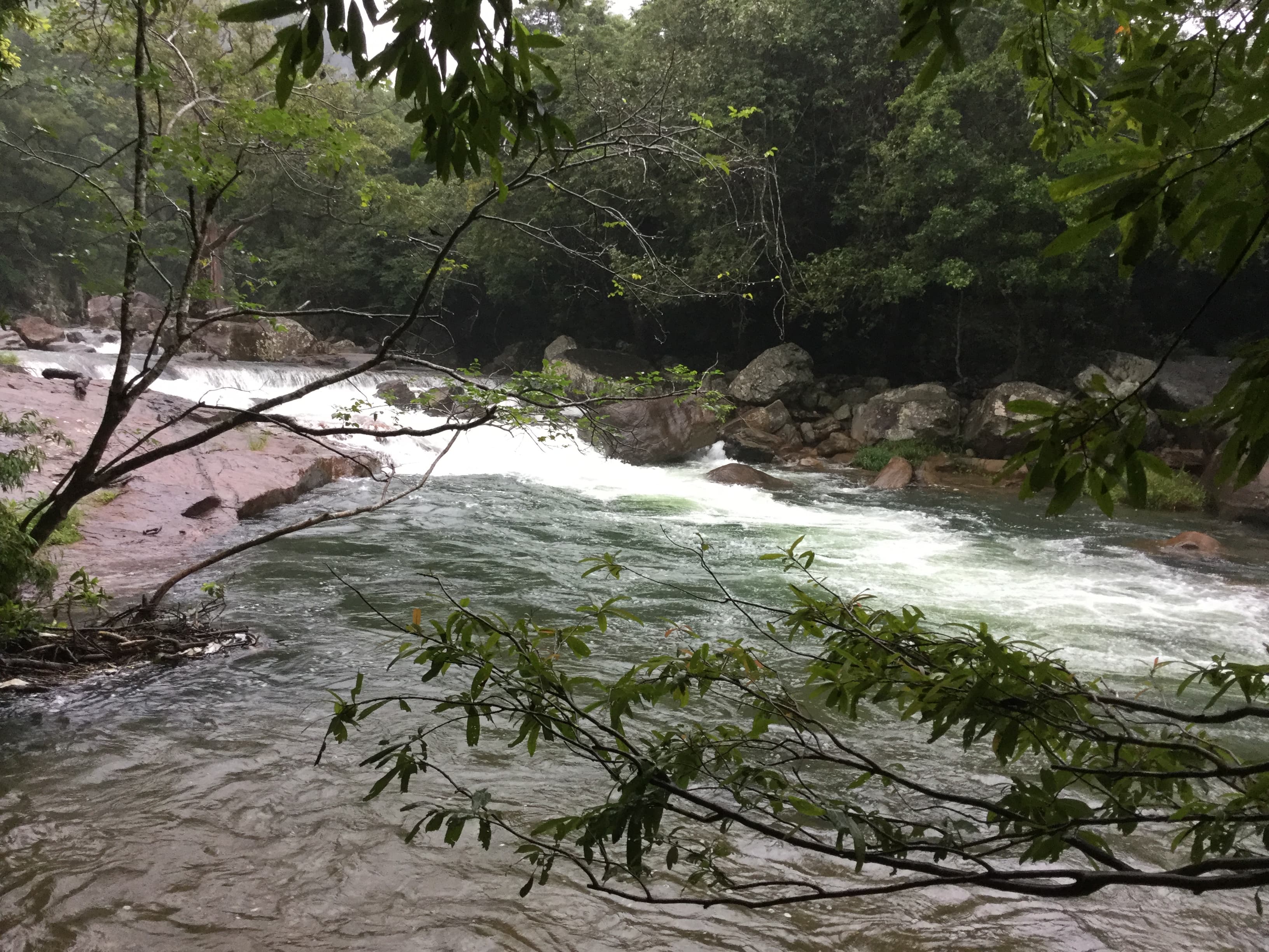 sera-ella-falls Gallery Image 6