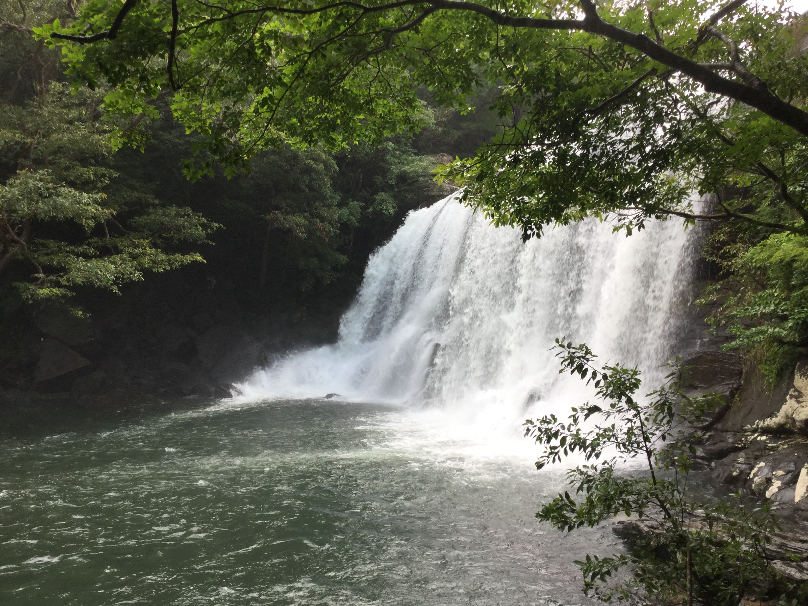 sera-ella-falls Gallery Image 2
