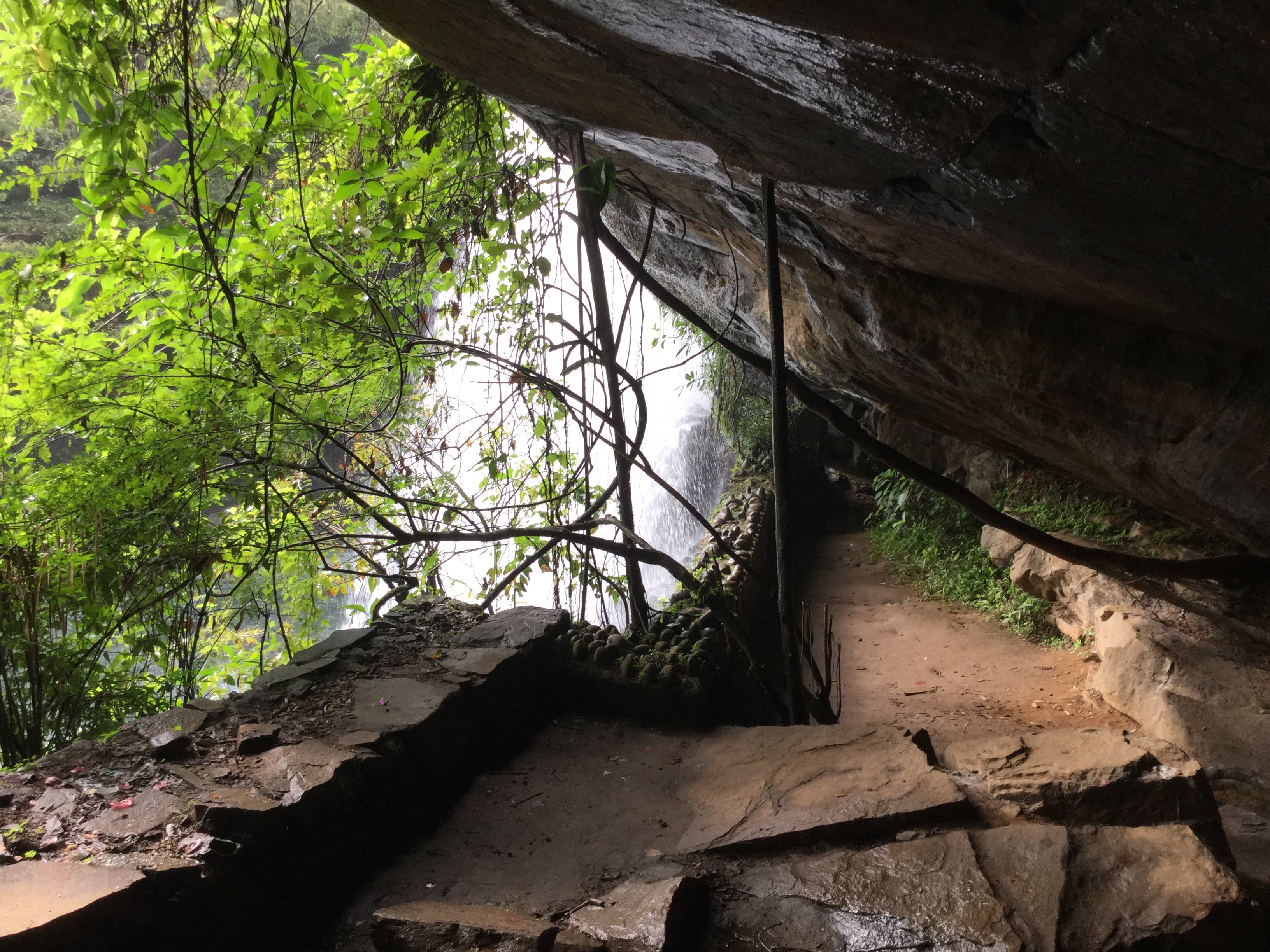 sera-ella-falls Gallery Image 1